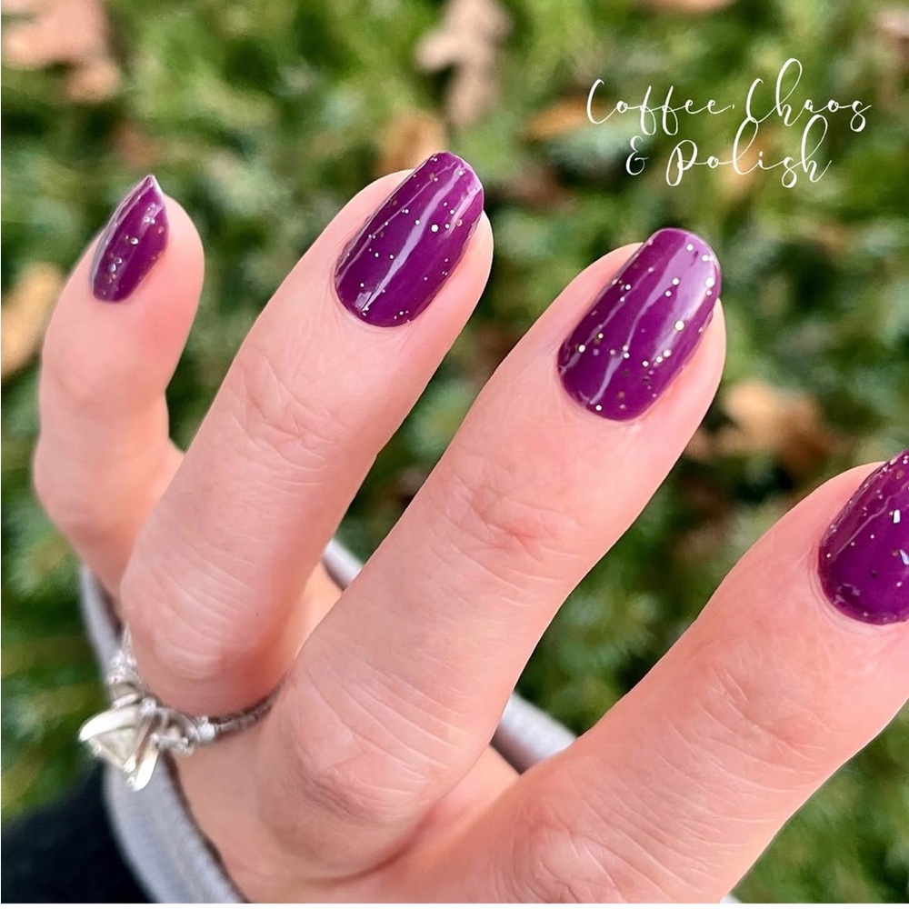 *Exclusive* Color Street: Berry Dreamy | Grape Purple Fall Sparkles Glitter